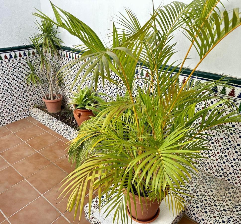 Villa Fuengirola Casa Centro Mar Y Sol Exterior foto